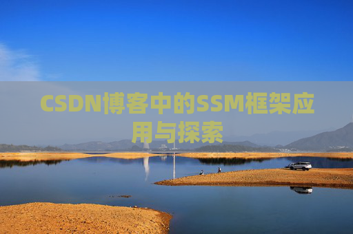 CSDN博客中的SSM框架应用与探索